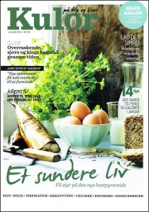 Kostråd_forside-page-001